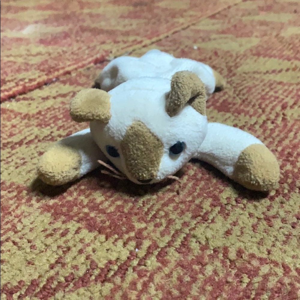 Beanie babies